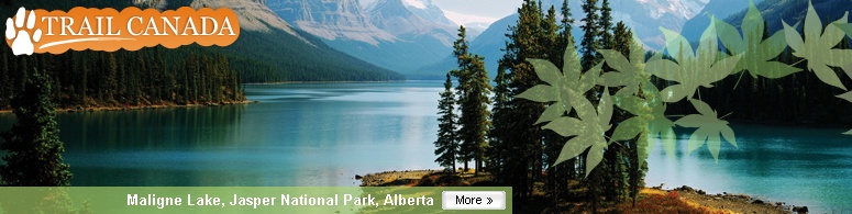 Maligne Lake, Jasper National Park, Alberta